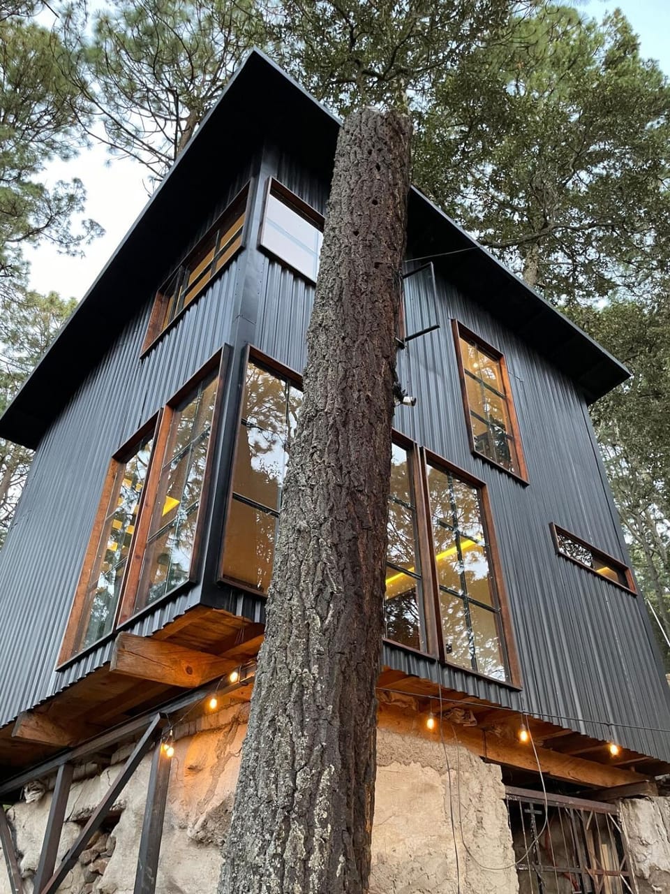 Heart of the Forest Chalet in State of Michoacán