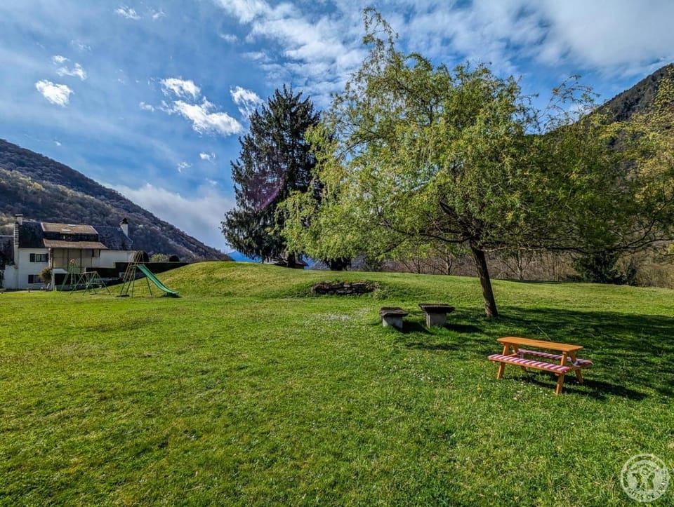 Les jonquilles et les narcisses House in Catalonia