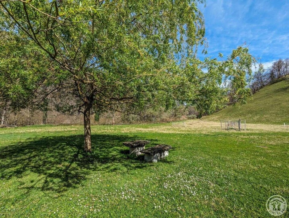 Les jonquilles et les narcisses House in Catalonia