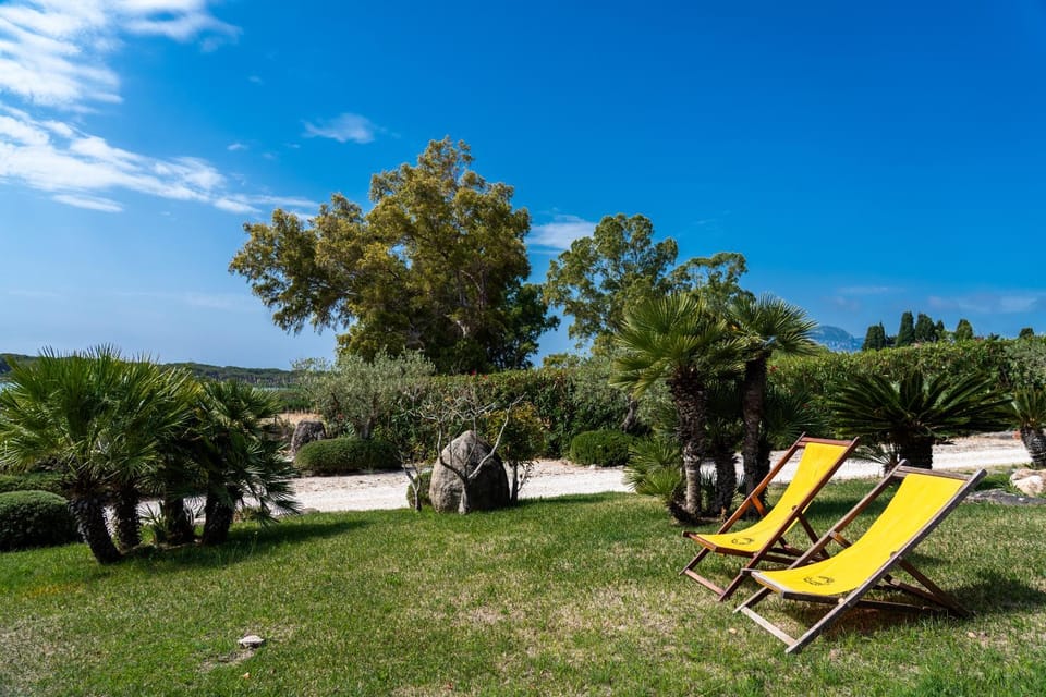 Natural landscape, Garden, Garden view, sunbed