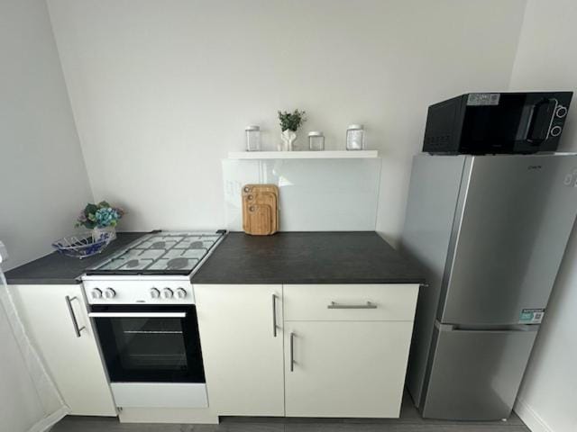 Coffee/tea facilities, Kitchen or kitchenette, oven, stove