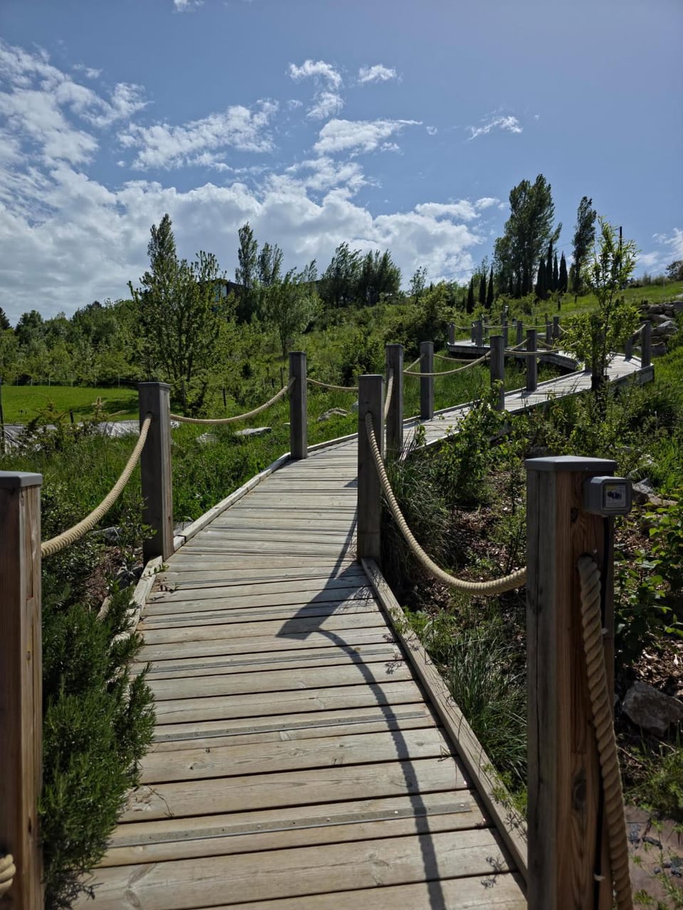 Natural landscape