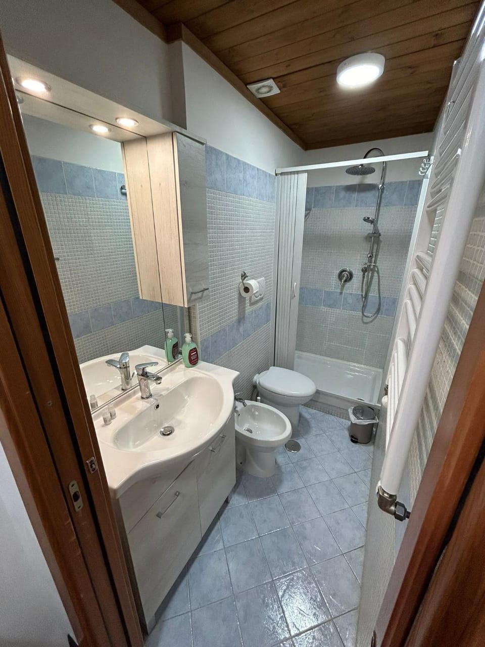 Shower, Toilet, Bathroom, bidet, hair dryier, heating, heating, internet, internet, towels