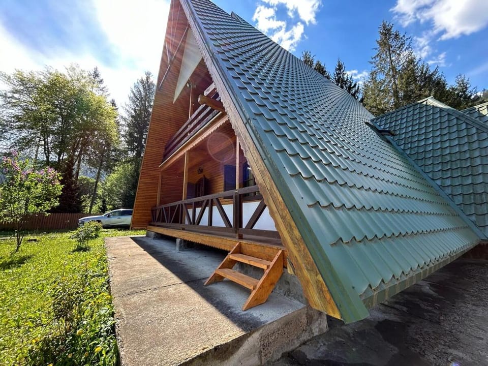 Vila Bradul Tarcău House in Romania