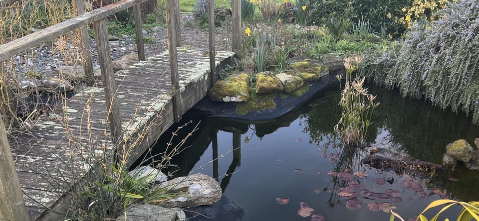 Property building, Garden, Garden view
