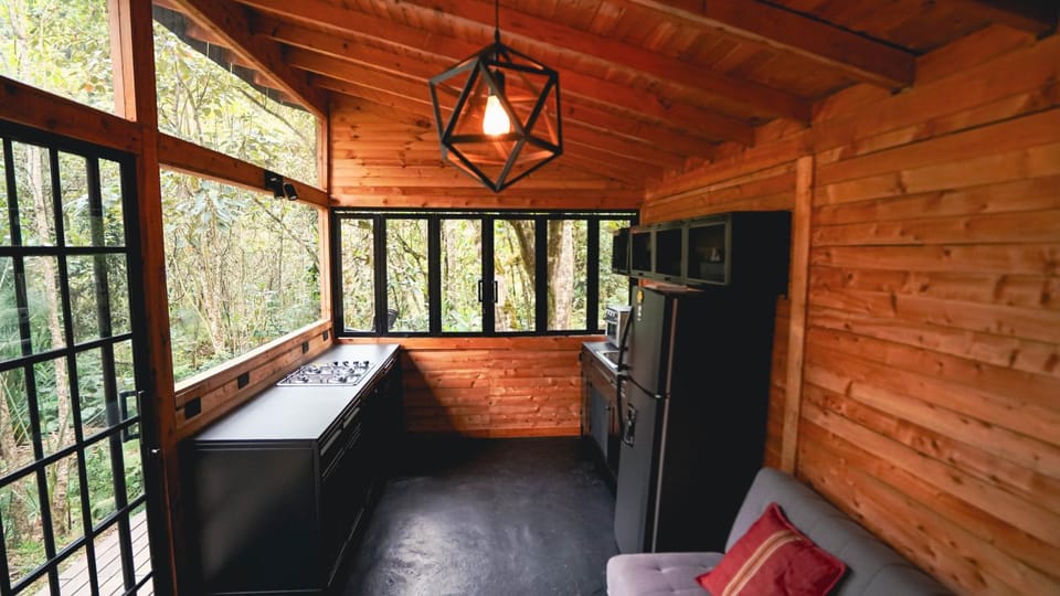 Kitchen or kitchenette, Living room, Lounge or bar, Dining area