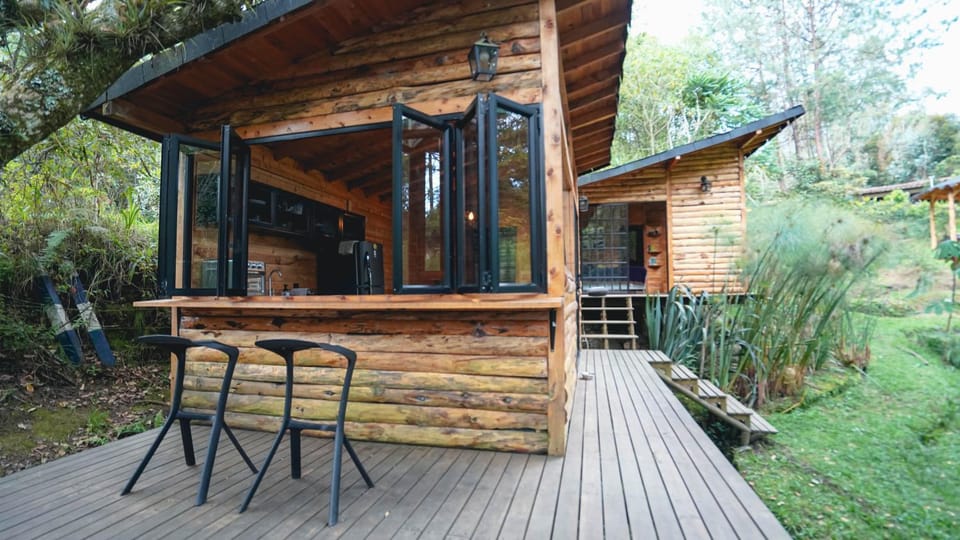 Property building, Patio, Spring, Garden, View (from property/room), Garden view