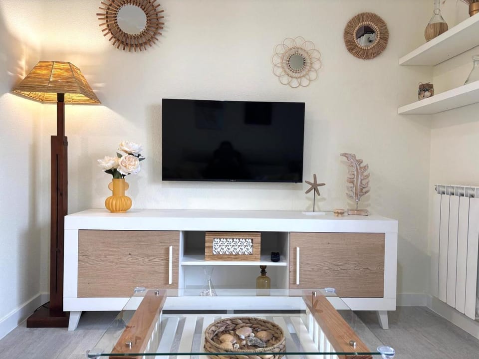 TV and multimedia