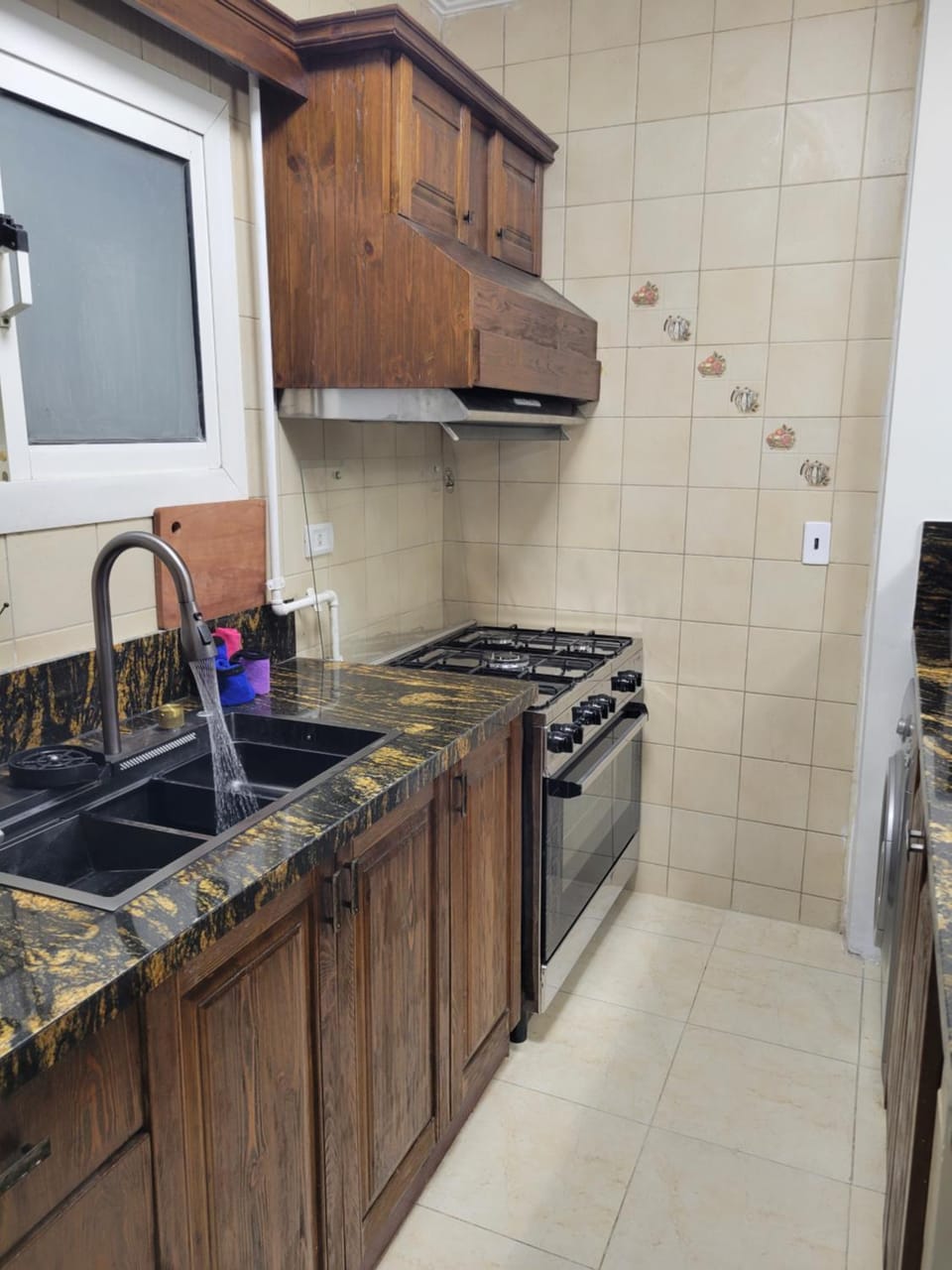 dishwasher, minibar, stove
