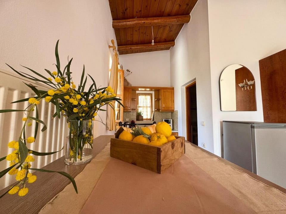 Stone Heaven Apartment-Poolside BBQ & Fresh Herbs Villa in Lasithi
