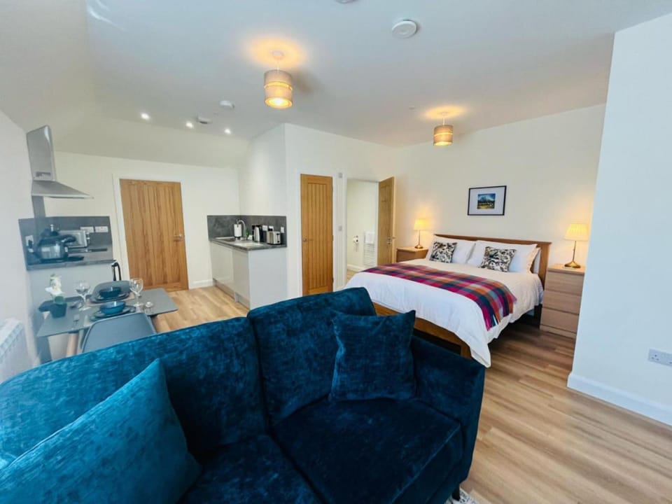 Bed, Bathroom, Kitchen or kitchenette, Seating area, Dining area, Bedroom