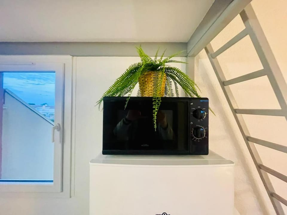 4 Soleil - Mezzanine Wifi Clim Plage Parking Apartment in Agde