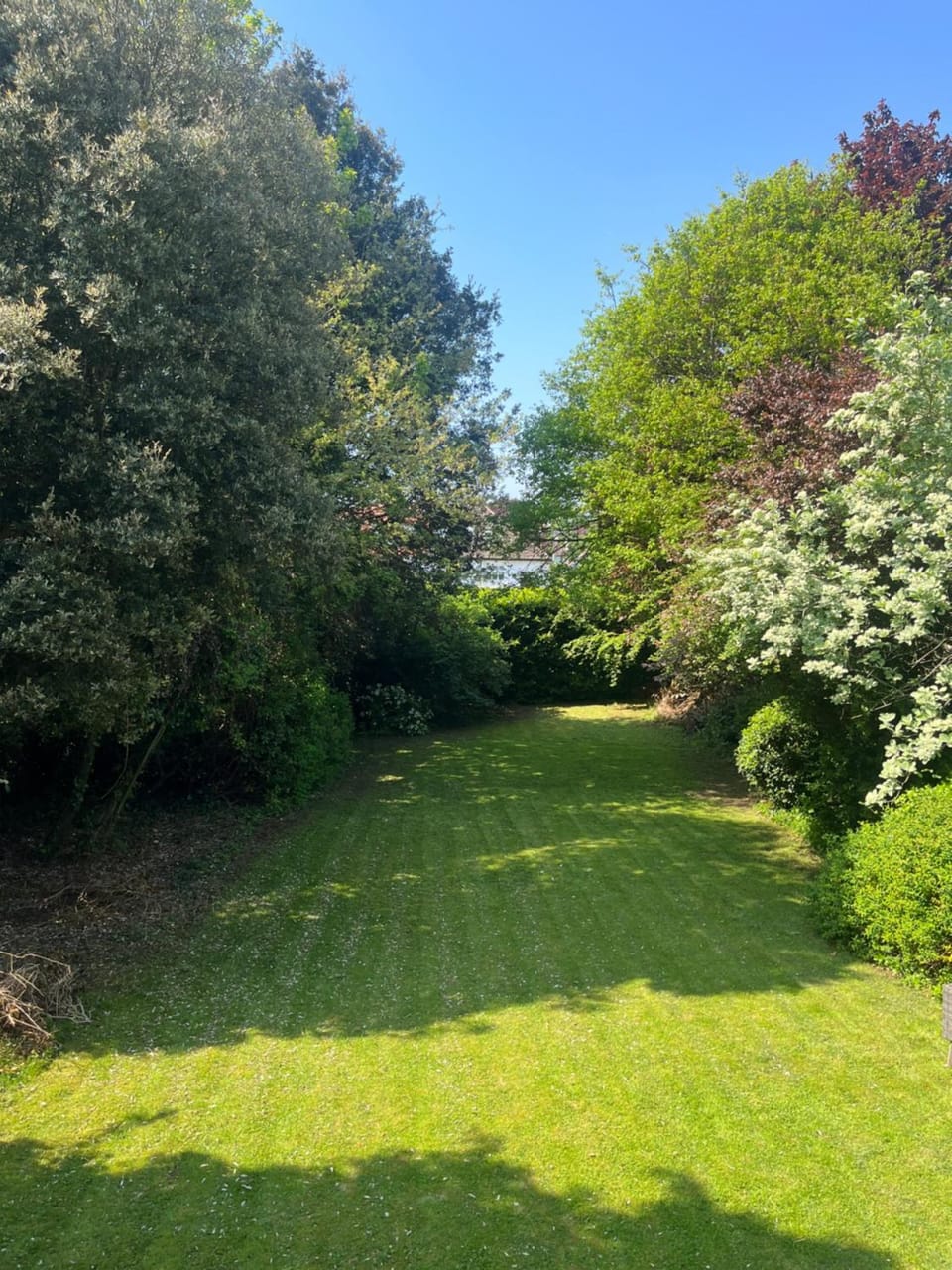 Spring, Day, Natural landscape, Garden, Garden view