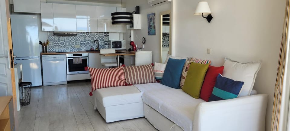 Costa Plana apartment with terrace and sea view Apartment in Cap-d'Ail