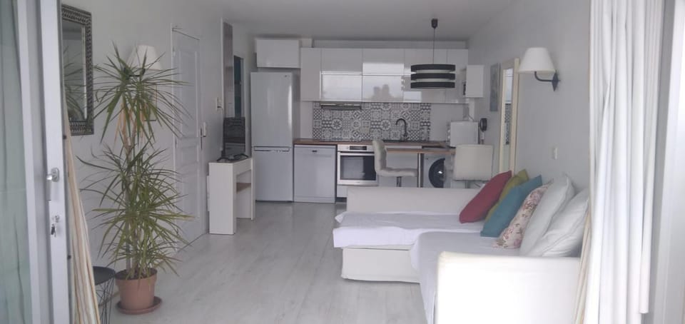 Costa Plana apartment with terrace and sea view Apartment in Cap-d'Ail