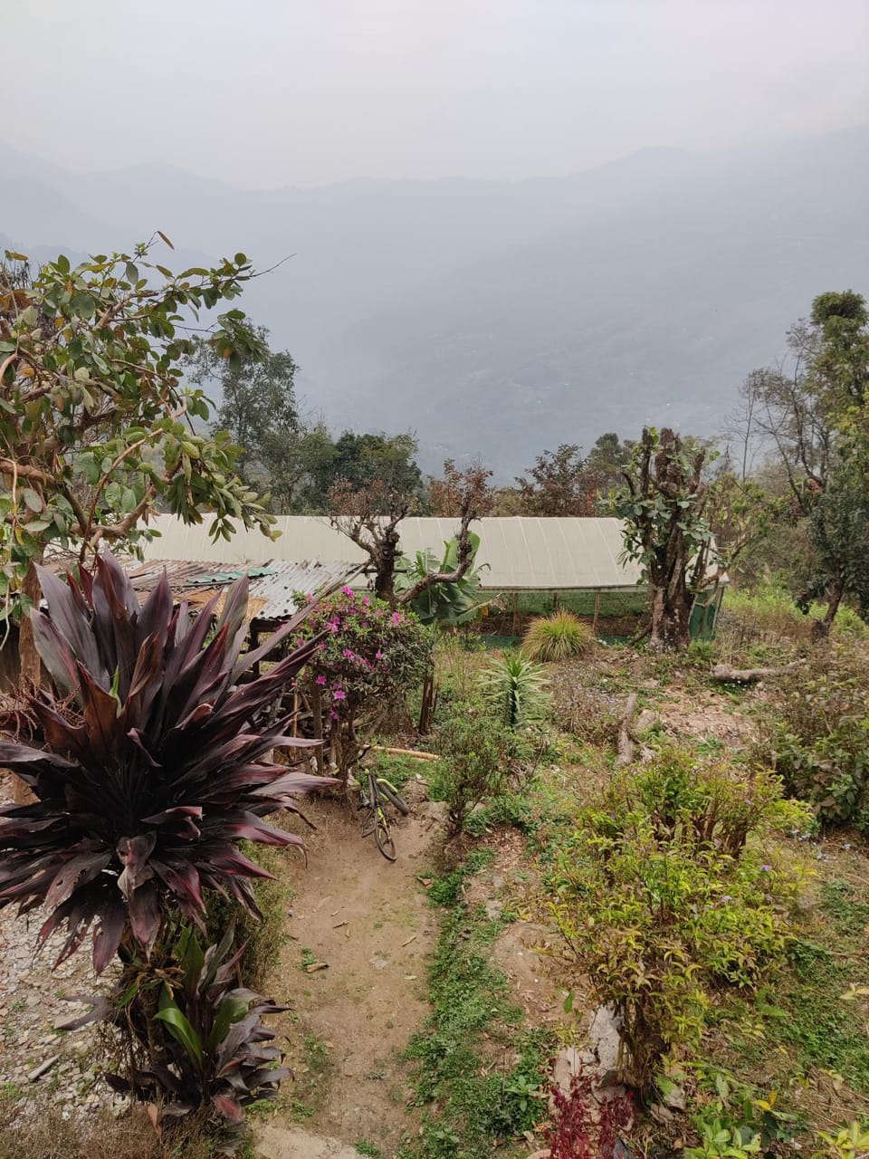 Kousani Naranga Farmstay-Kagey Farm Stay in West Bengal