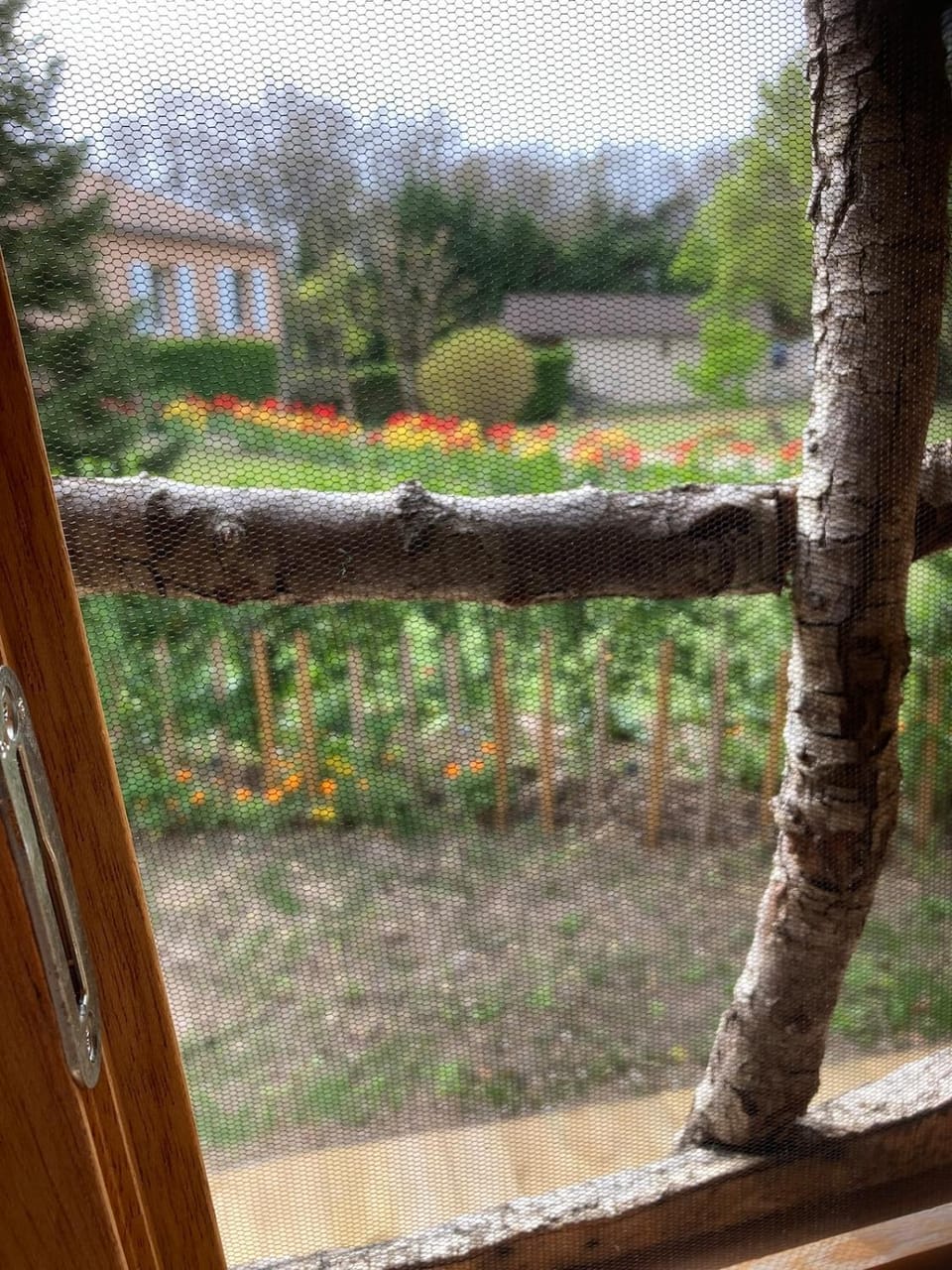 Cabane insolite entre Albi et Cordes-sur-ciel Chalet in Albi