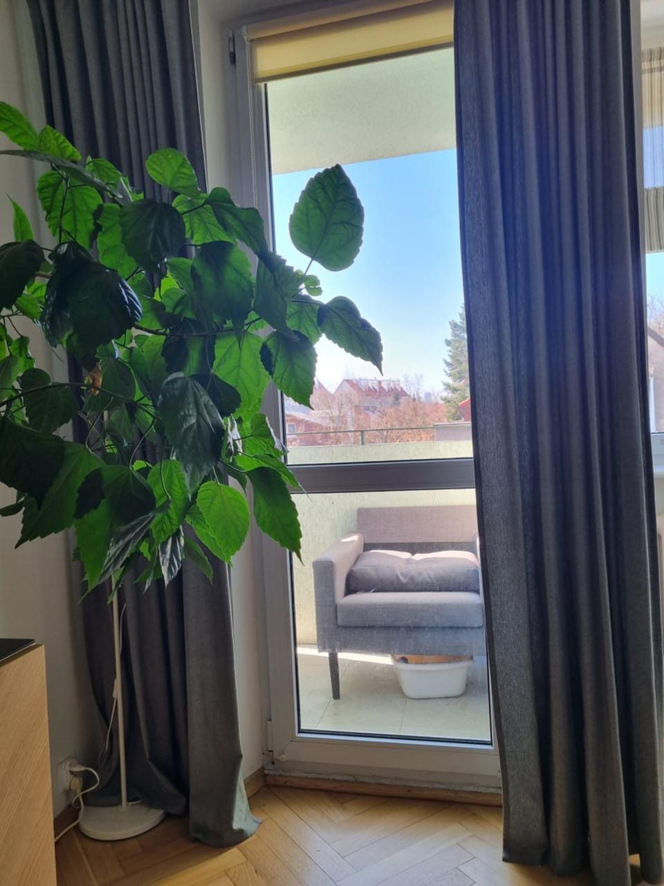 Mieszkanie nad morzem, 300m od plaży! Apartment in Gdansk