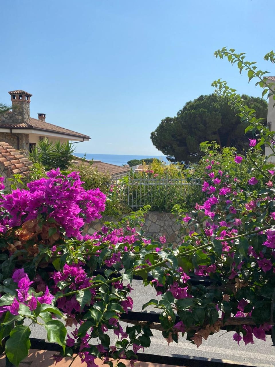 Garden, Balcony/Terrace