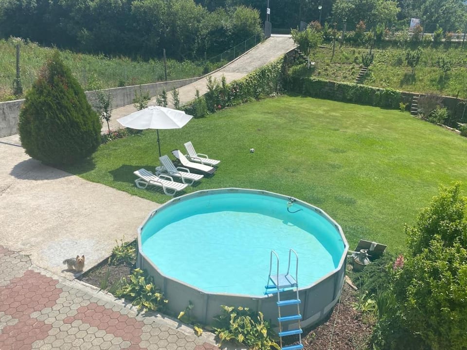 Nature & Family Guesthouse Apartment in Aveiro District, Portugal