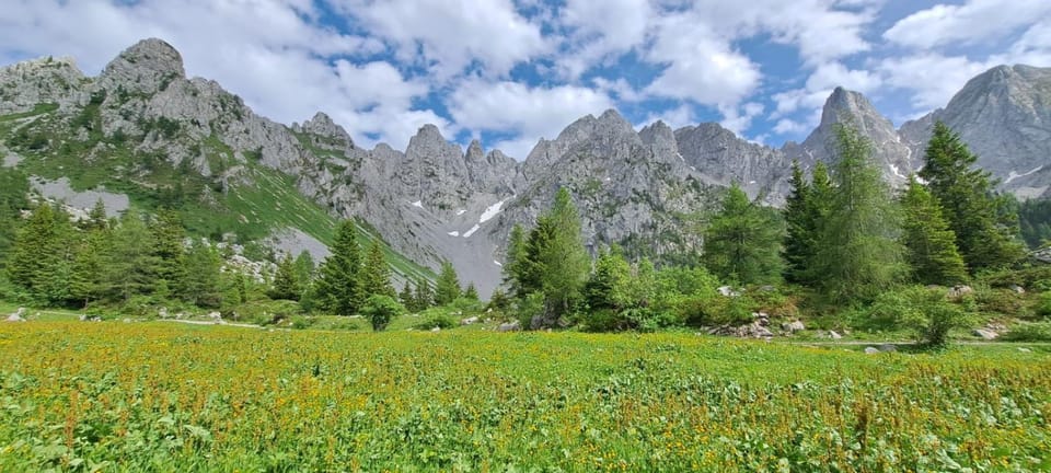 GREEN DOLOMYTE Apartment Apartment in Province of Brescia