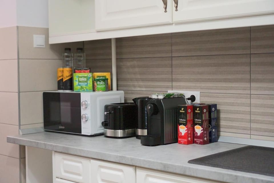 Phix Apartament of University and Hospital Area Apartment in Romania