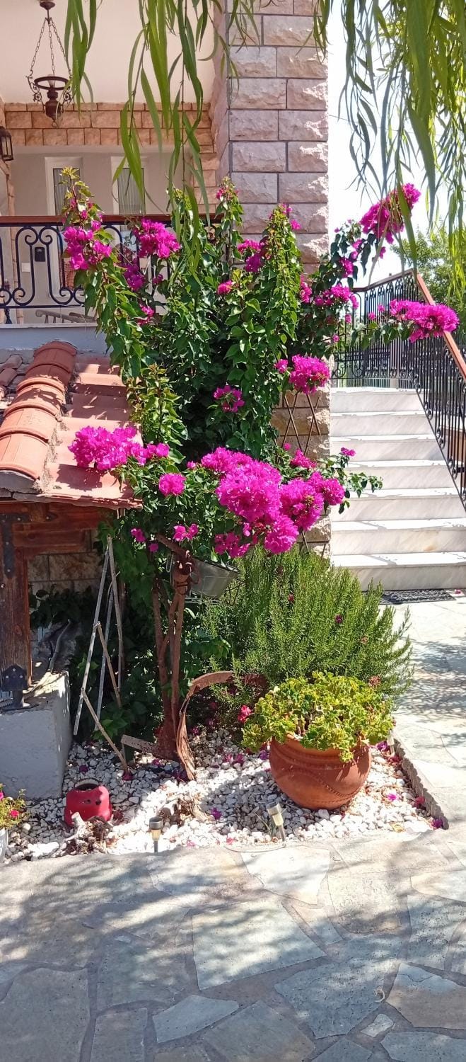 Lena's Family Home Apartment in Halkidiki