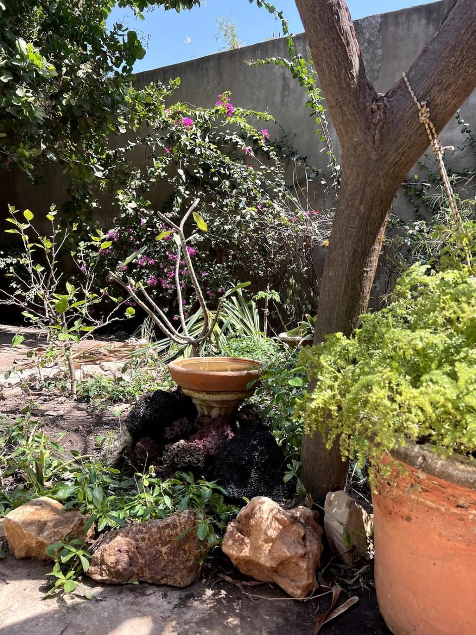 Garden, Garden