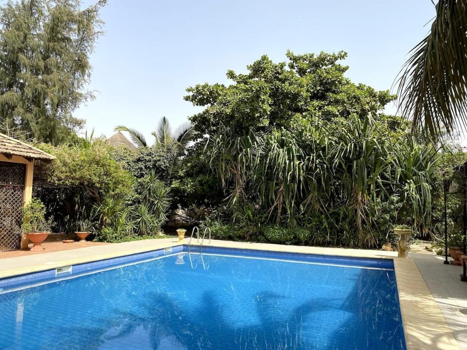 Garden, Swimming pool, Swimming pool