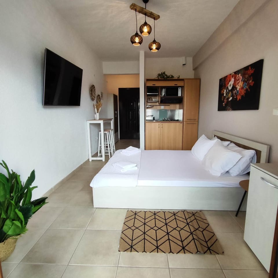 TV and multimedia, Kitchen or kitchenette, Photo of the whole room