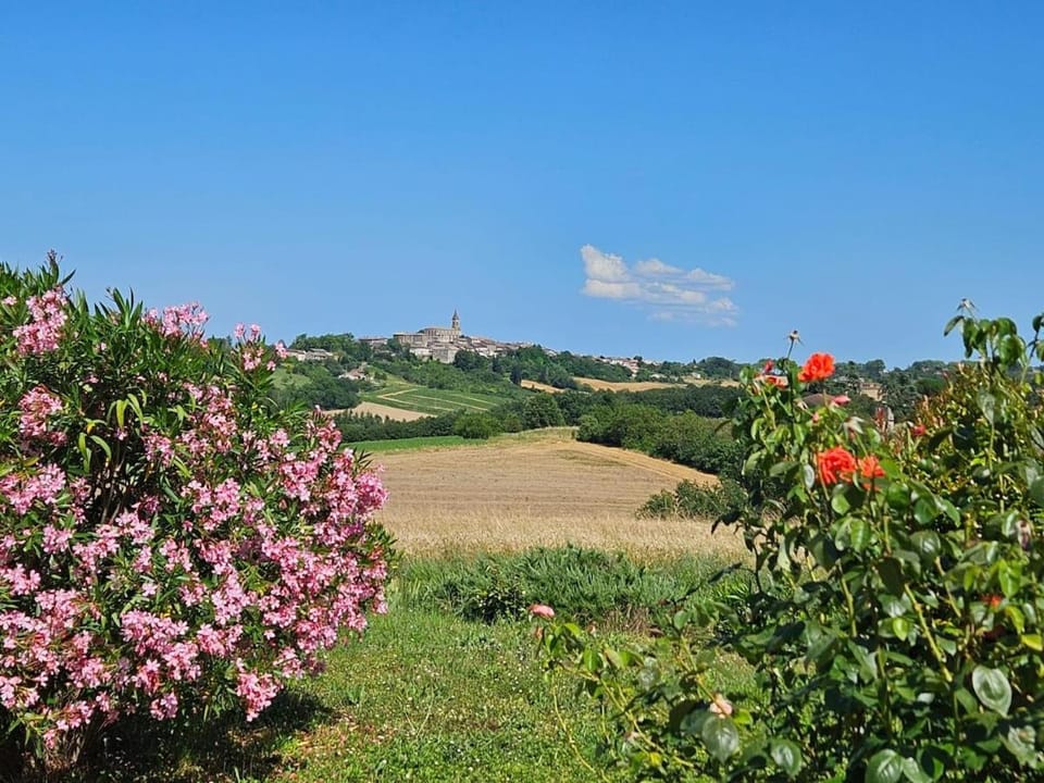 Natural landscape