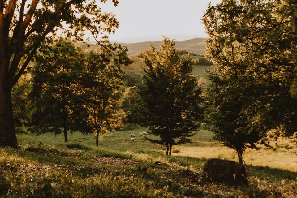 Natural landscape
