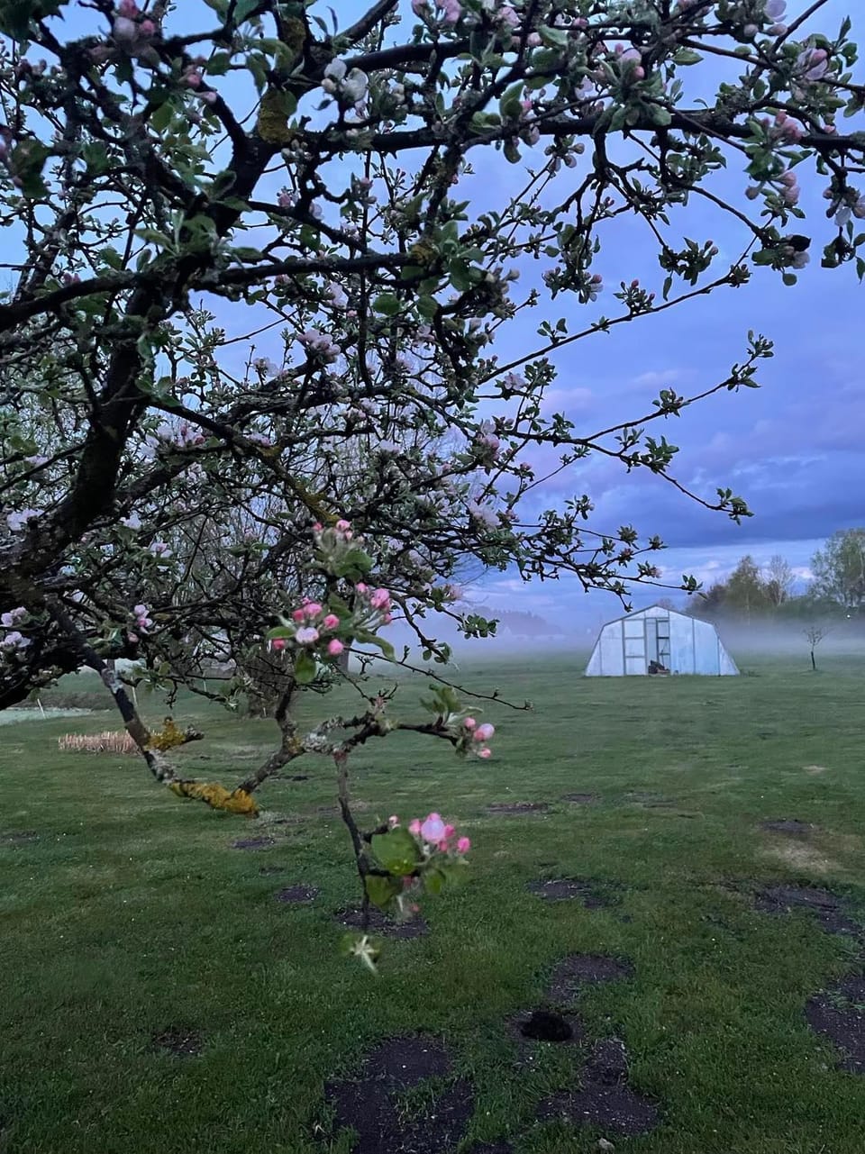 Rodinný penzion Bavlnka Bed and Breakfast in South Bohemian Region
