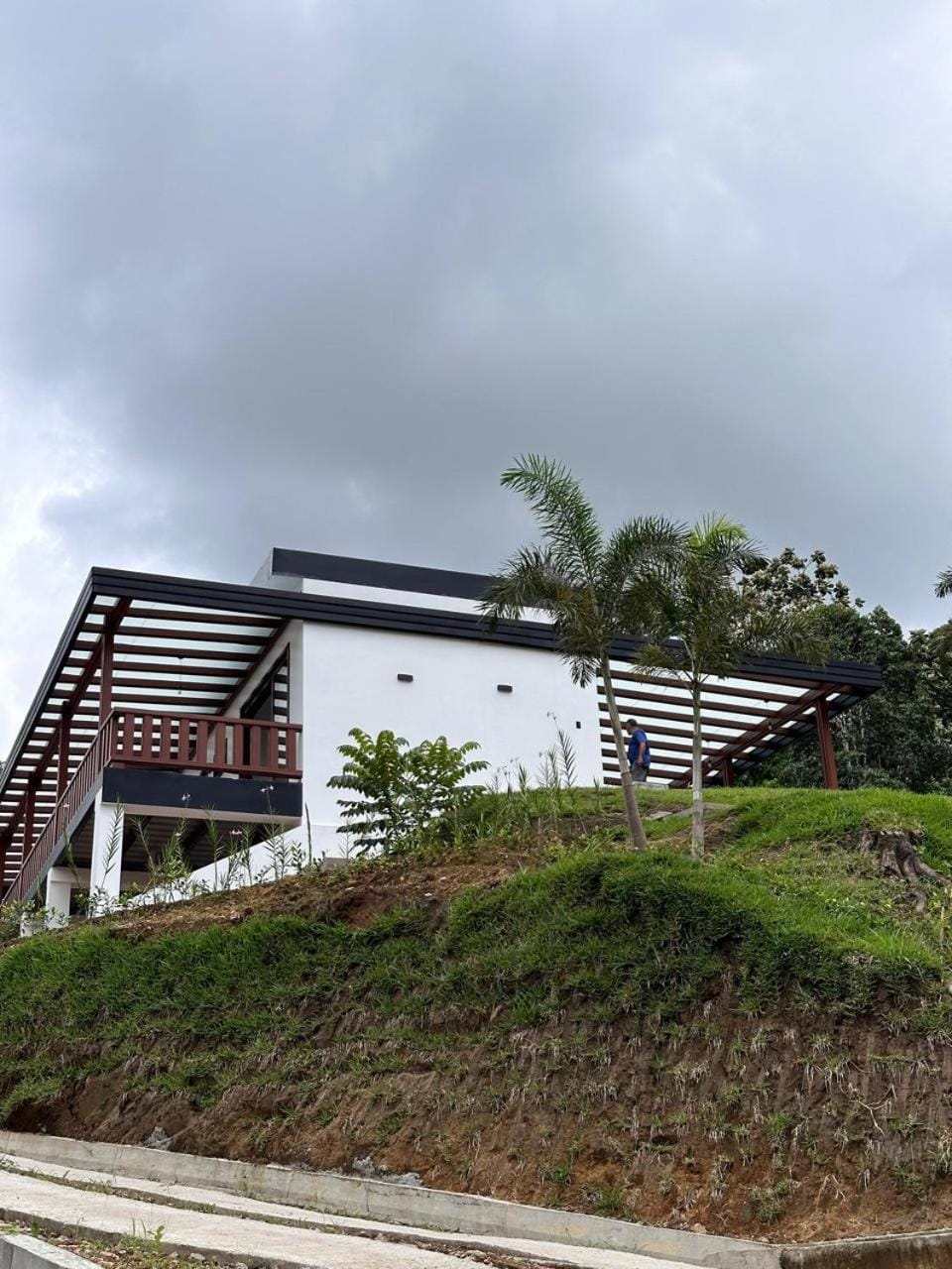 Balcony/Terrace, Garden view