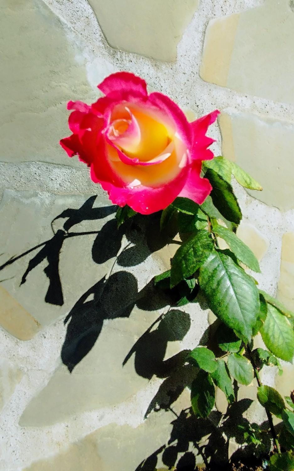 Decorative detail