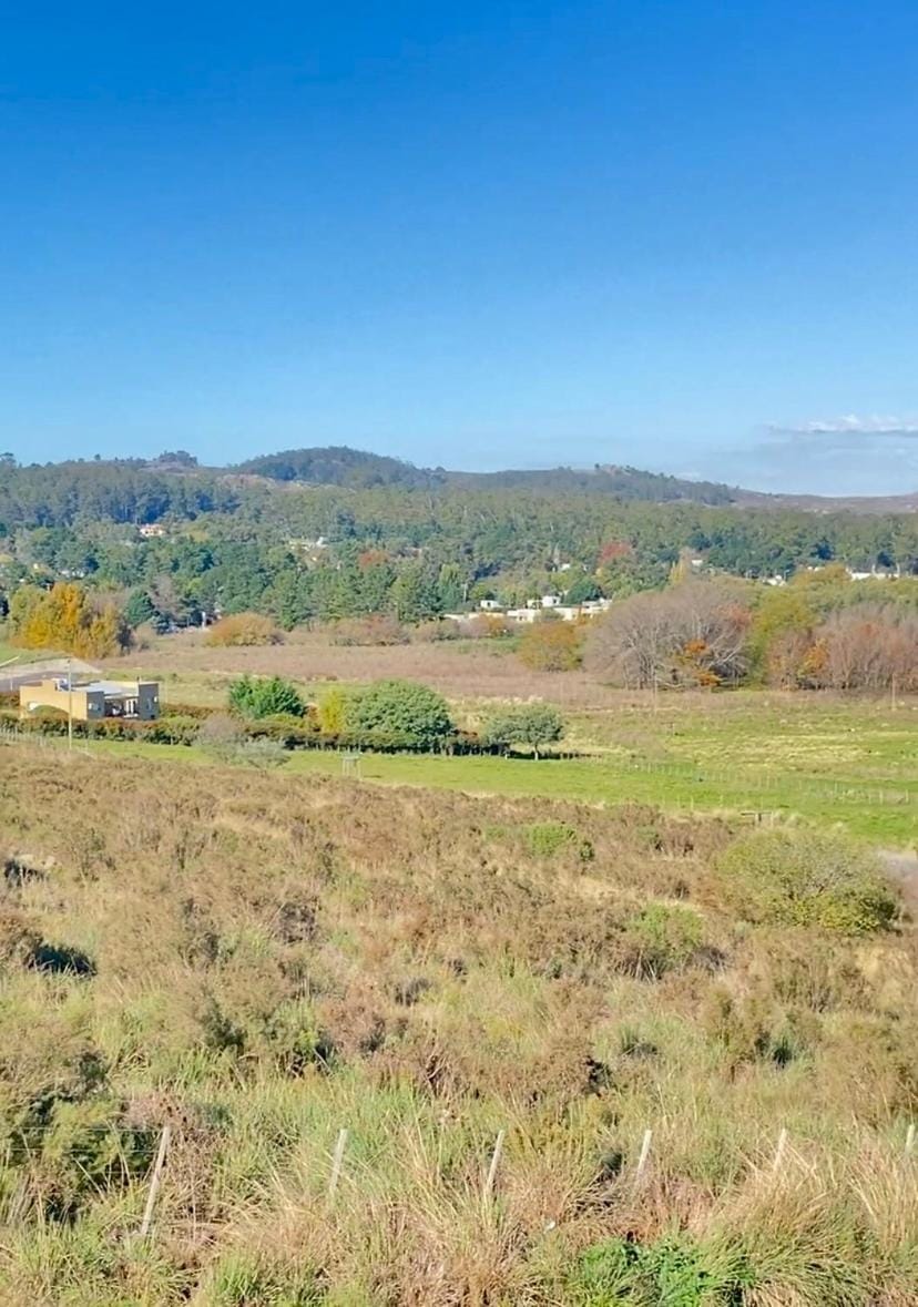 Casa Lima House in Tandil