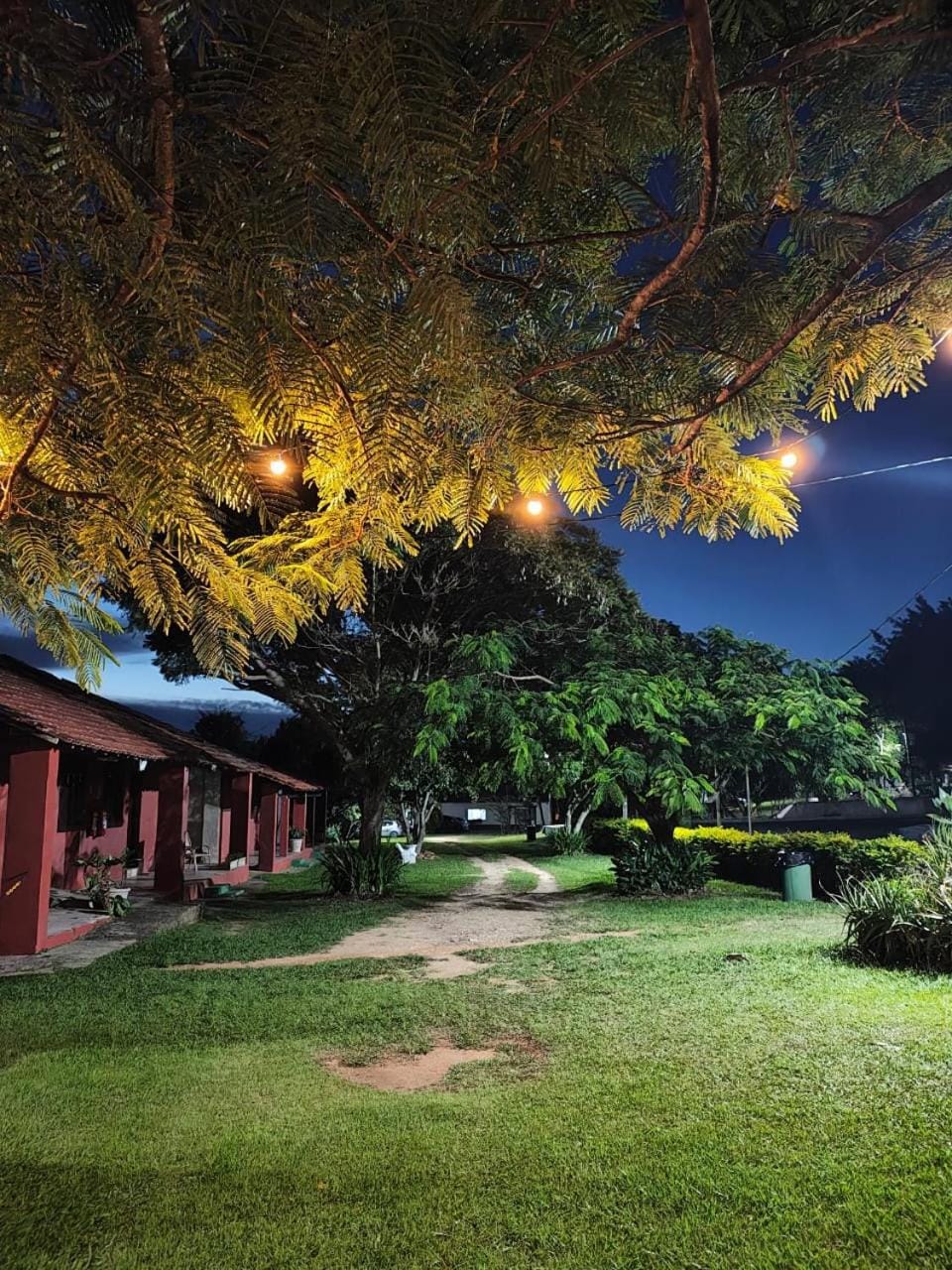 Night, Natural landscape, Garden