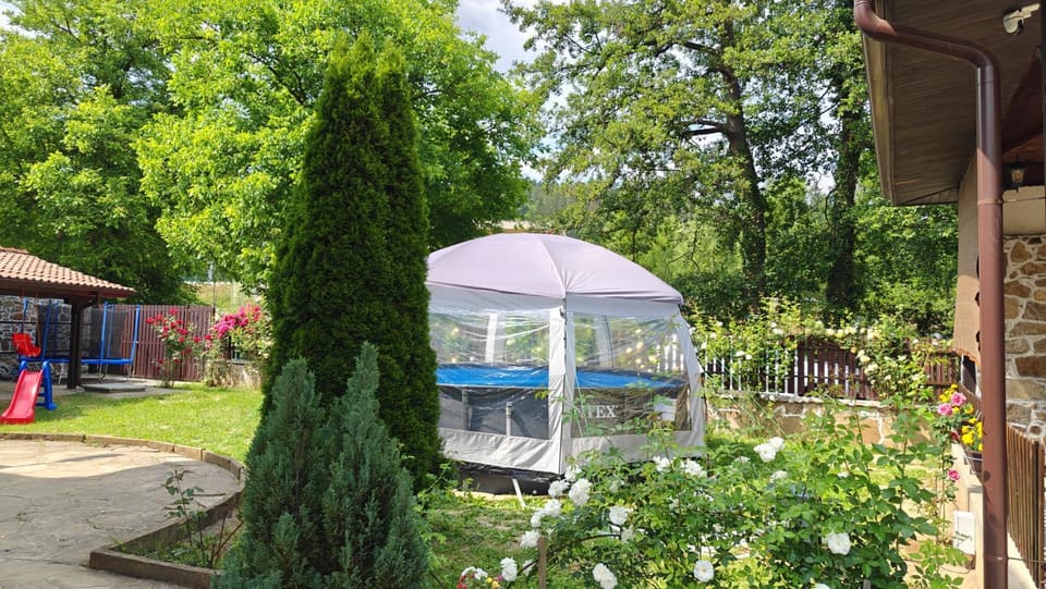 Property building, Patio, Day, Garden, Garden view, Pool view, Swimming pool