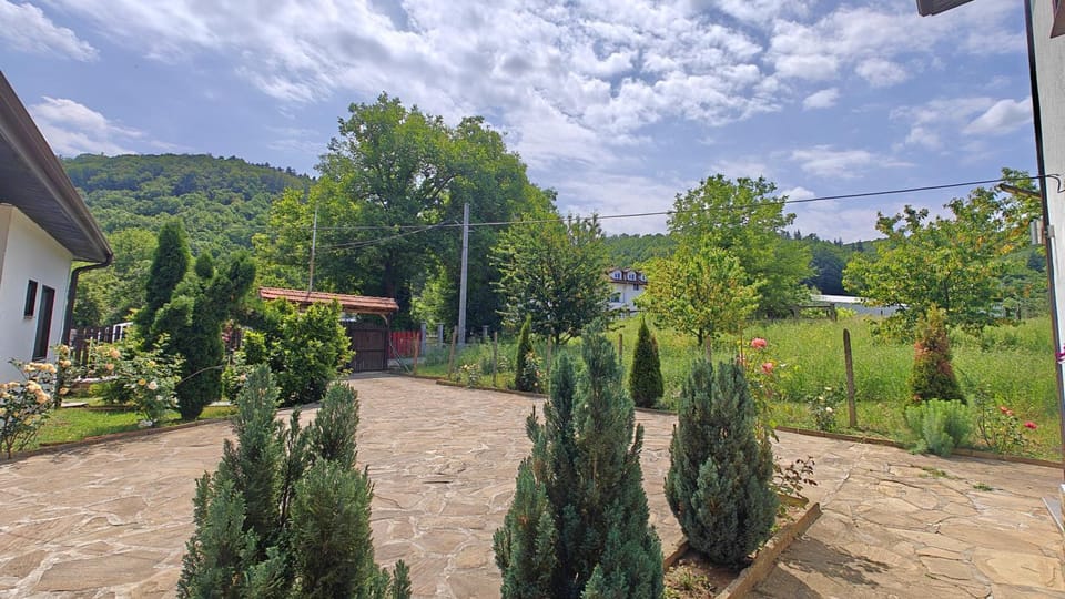 Natural landscape, Garden, Garden view, Mountain view