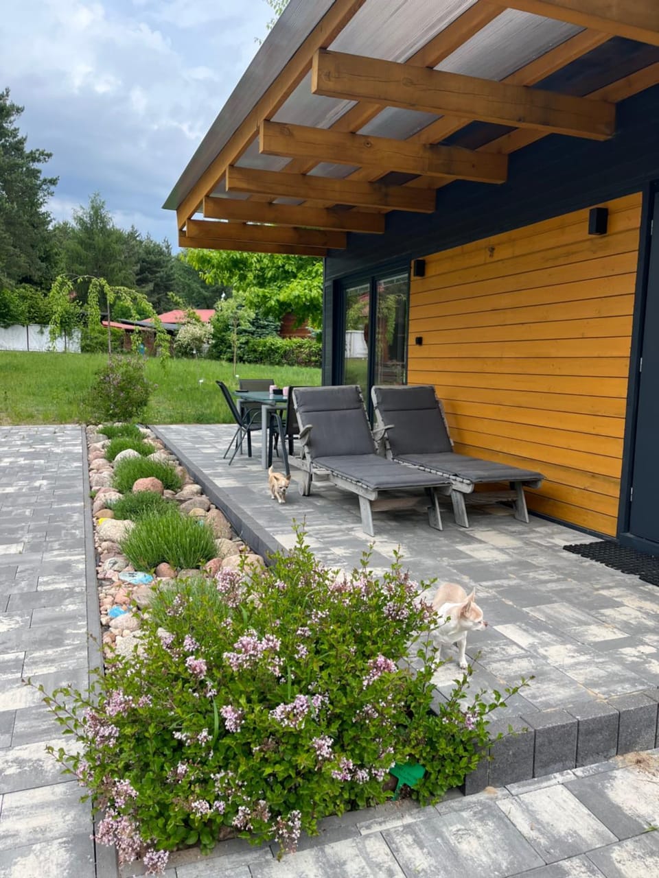 Garden view