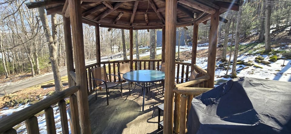 Owl's Nest House in Deep Creek Lake
