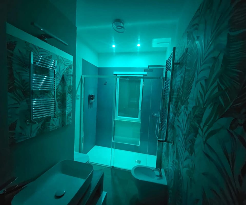 Shower, Bathroom, bidet