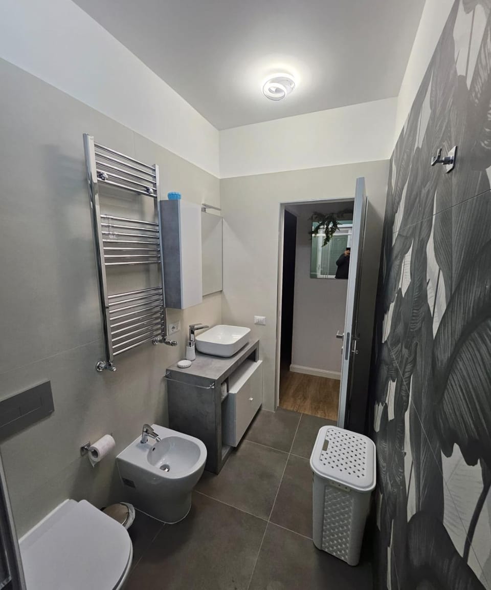 Toilet, Bathroom, bidet