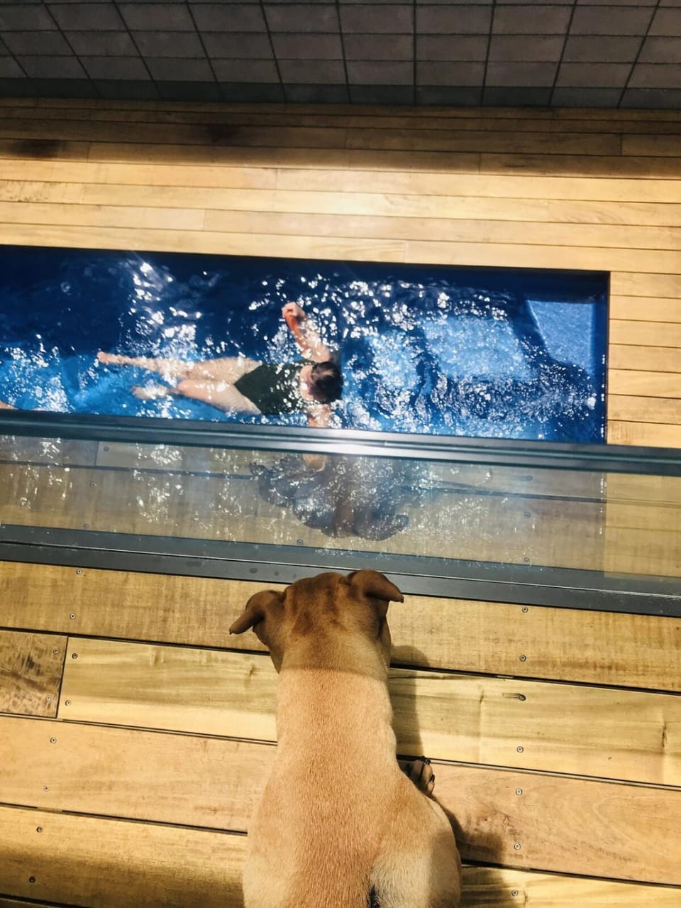 Swimming pool