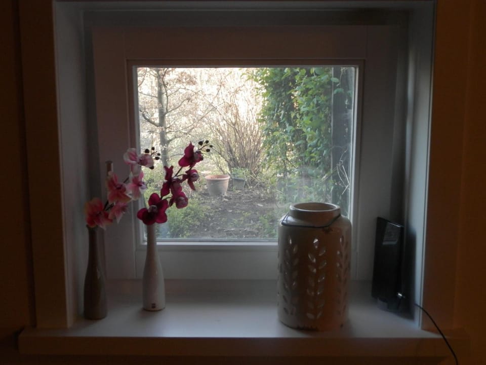 Spring, Day, Garden view