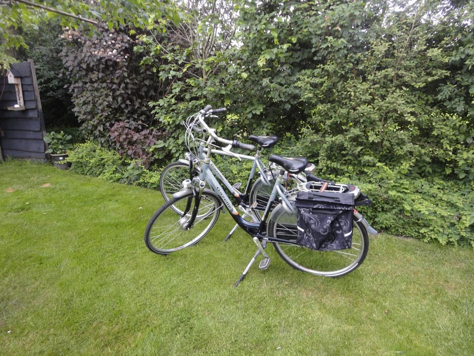 Natural landscape, Cycling, On site
