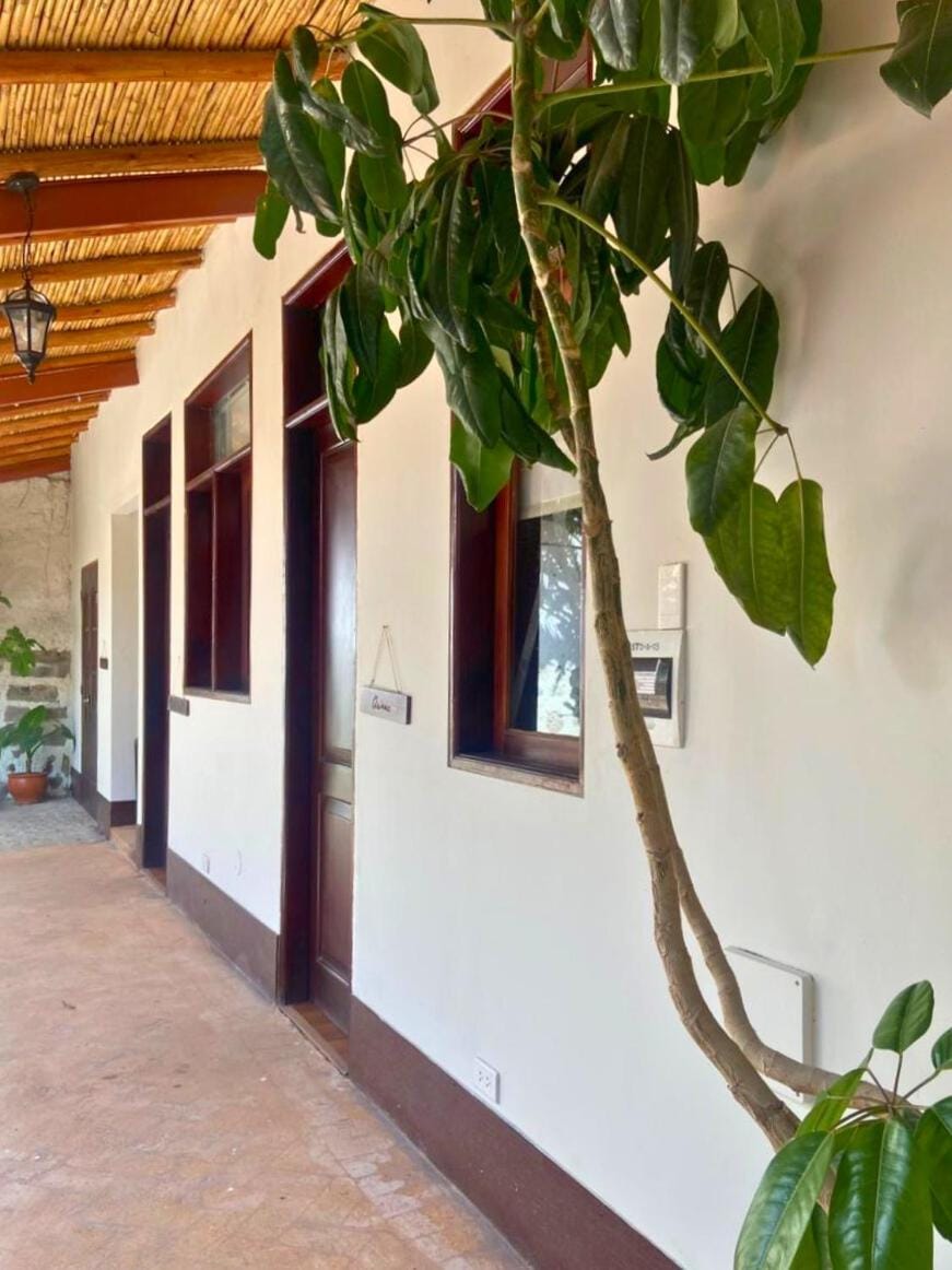 Patio, Balcony/Terrace