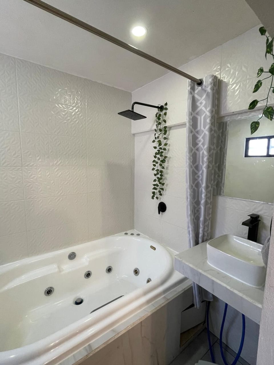 Comoda habitación centrica - Casa Pirul Apartment in Aguascalientes