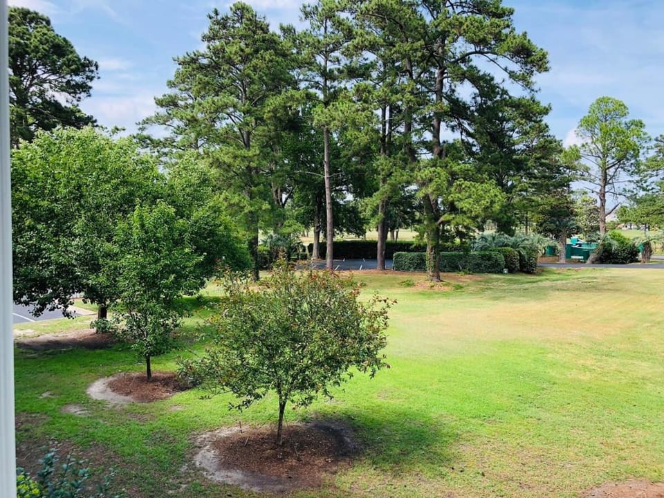 Fantastic condo in the center of Myrtle Beach House in Carolina Forest