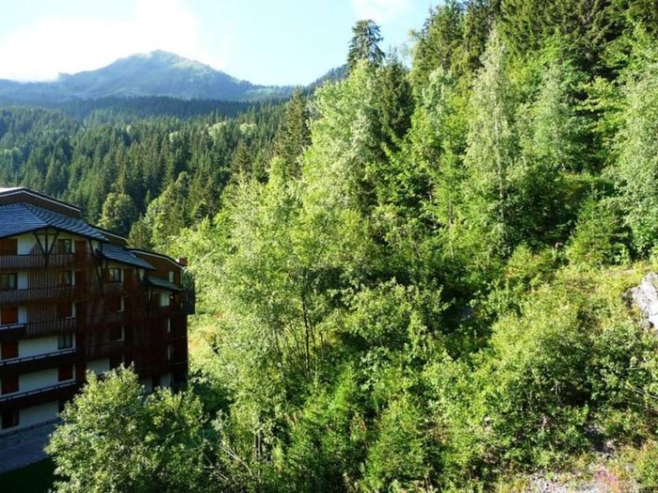 Appartement skis aux pieds, 4 couchages, balcon, wifi inclus - FR-1-513-66 Apartment in Les Allues